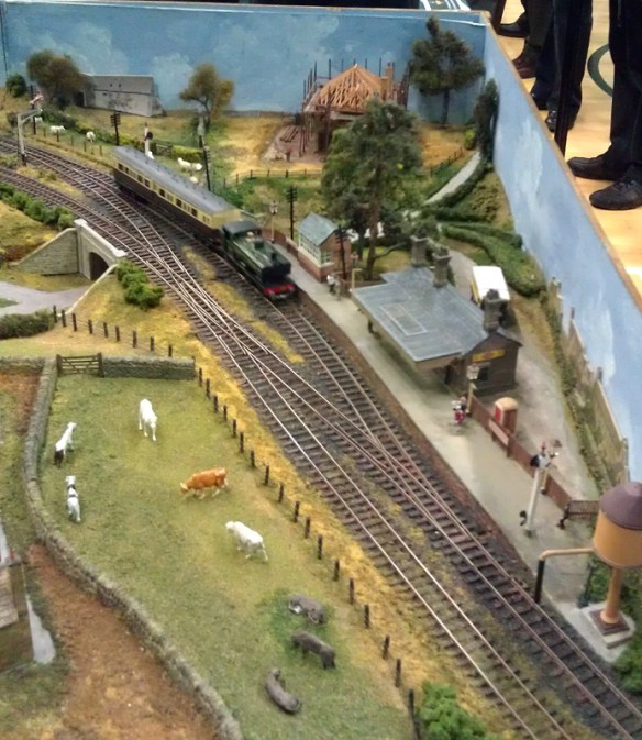 Southampton MRC 24-1-2015 Hollow Fosse 2