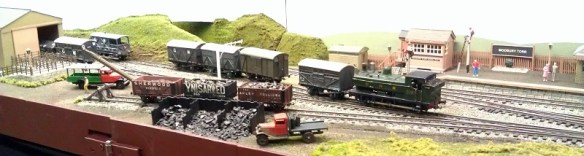 Southampton MRC 24-1-2015 Modbury Torr 5