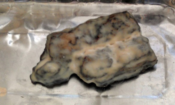 Rock Moulding From Bark 4