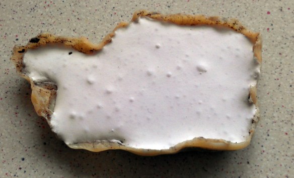 Rock Moulding From Bark 7