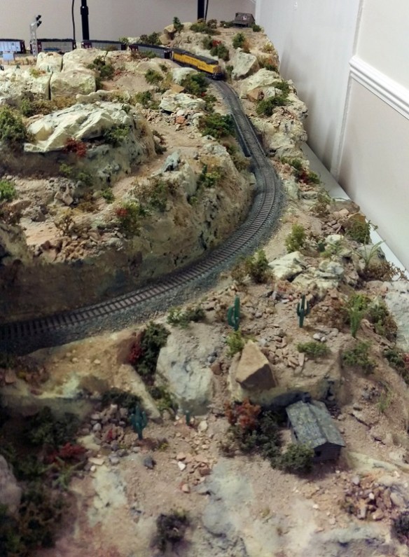 NMRA BR 2015 Coyote Creek 2