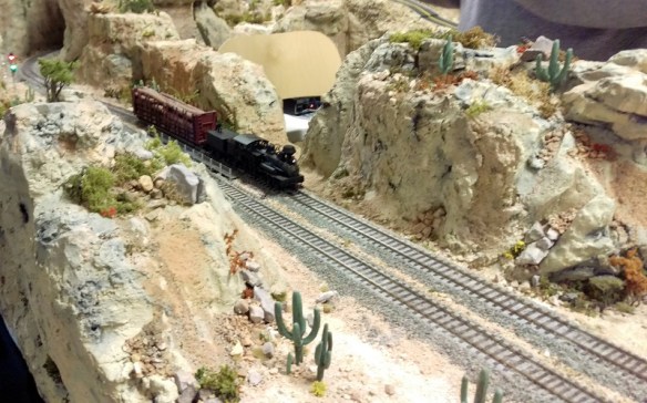 NMRA BR 2015 Coyote Creek 3