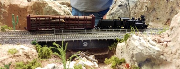 NMRA BR 2015 Coyote Creek 4