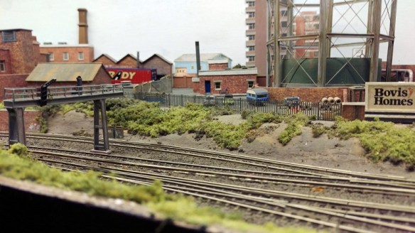 PDMRS 2015 Hedges Hill Cutting 13