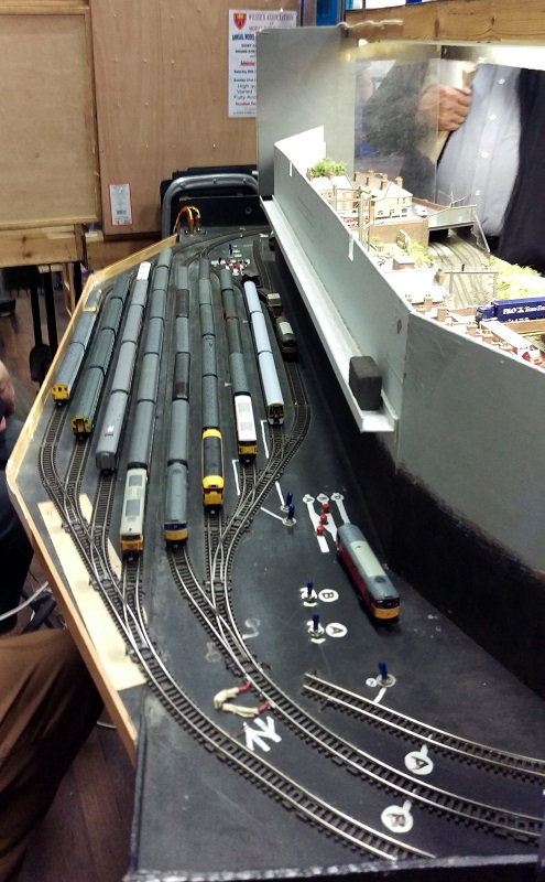 PDMRS 2015 Hedges Hill Cutting 2