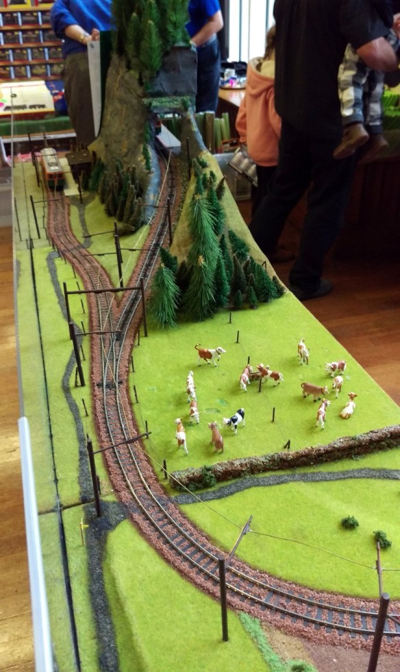 PDMRS 2015 The SGK-bahn 4